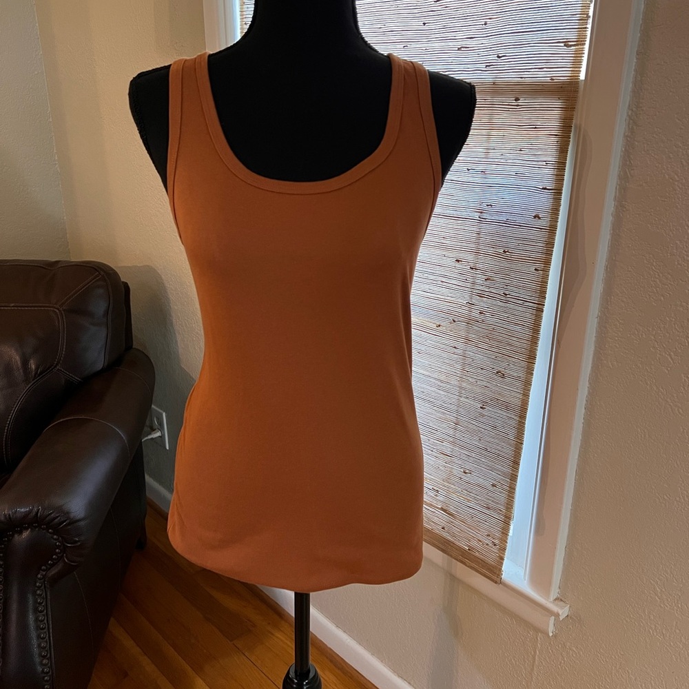 A New Day Camel Tank